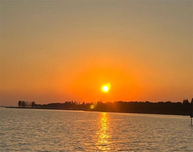 从价差牟利到锒铛入狱：一桩“串货”案如何改写医药行业规则