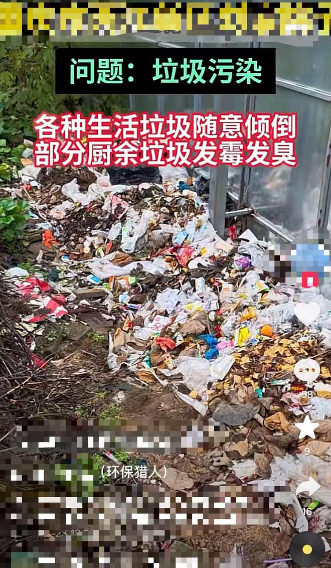 有创意的环保公益项目__生意参谋流量纵横