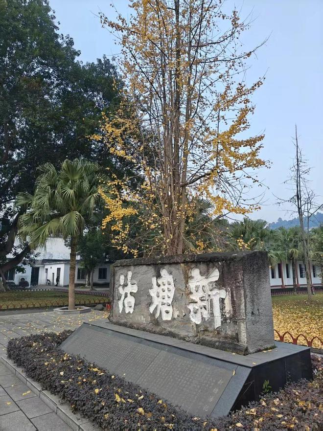 蜀什么火锅__成都火锅味蜀吾