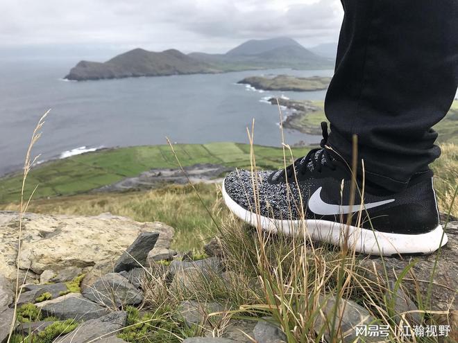 耐克中国2020年营业额__耐克营收分布