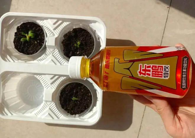 富豪广东别的只有__广东富豪打扮