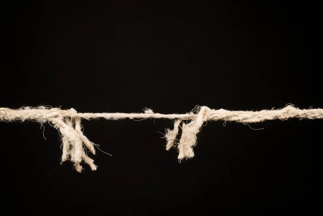 片仔癀和茅台哪个最适合投资__片仔癀和茅台合作的酒叫什么