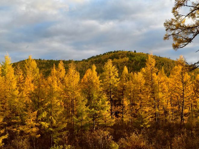 _咖啡牛肉的做法大全_咖啡加牛肉