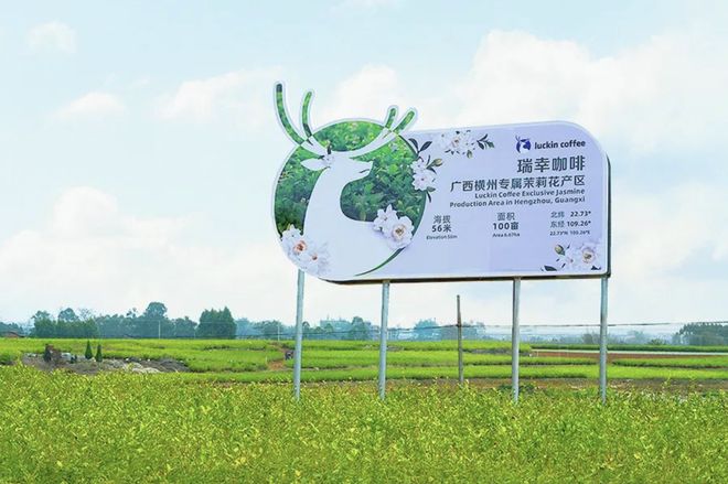 咖啡牛肉的做法大全_咖啡加牛肉_