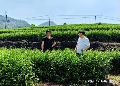青山绿水浙江__雨润青山