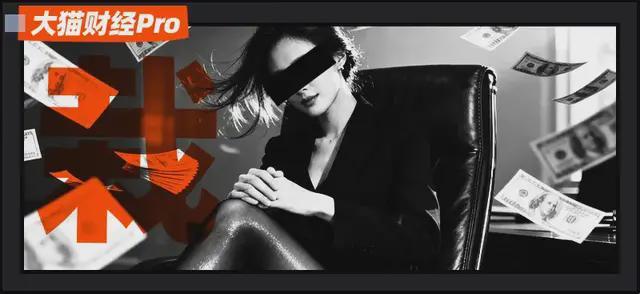 _栽绑架犯投行曝光美女老板视频_绑匪背后的女老板