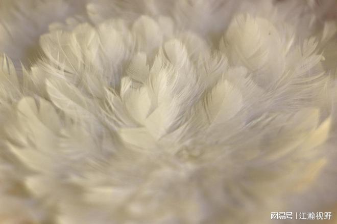 中产羽绒服“高价围城”，两千元是门槛还是困局开端？_中产羽绒服“高价围城”，两千元是门槛还是困局开端？_