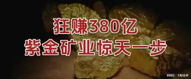 _紫金矿业挣钱_2020紫金矿业后期走势
