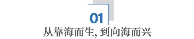 青岛海洋项目__青岛海洋经济