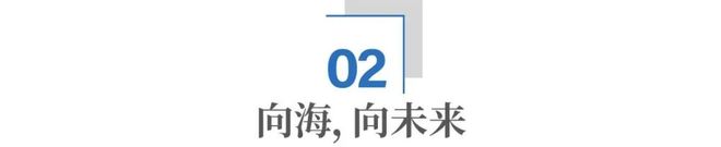 _青岛海洋经济_青岛海洋项目