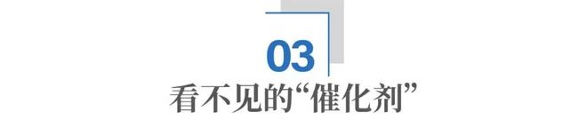 _青岛海洋经济_青岛海洋项目