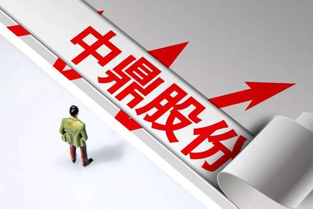 夏迎松的新战场：动作频频，中鼎股份加速人形机器人布局