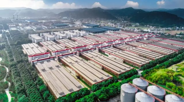 老酒战略“压舱”，舍得酒业释放业绩修复强信号__老酒战略“压舱”，舍得酒业释放业绩修复强信号