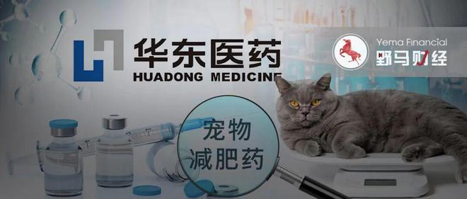 全国三成“喵星人”超重，700亿华东医药想给猫打减肥针__全国三成“喵星人”超重，700亿华东医药想给猫打减肥针