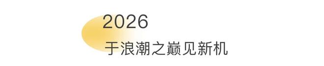 _破浪潮是什么意思_新年献词事件