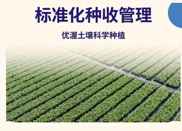 一款9分甜脆的超大新品蓝莓，为何只能在京东七鲜能买到？_一款9分甜脆的超大新品蓝莓，为何只能在京东七鲜能买到？_