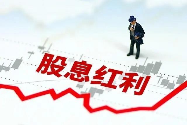 _股息收益和股息红利_企业成长风险