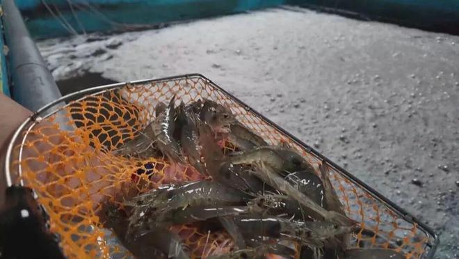 长三角城市南通潜力_北方海域_