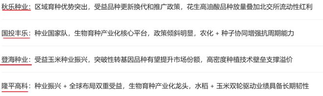 字节跳动春联__字节晚饭