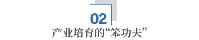 “新年第一会”:南京,正在下一盘“慢但正确”的棋_“新年第一会”:南京,正在下一盘“慢但正确”的棋_