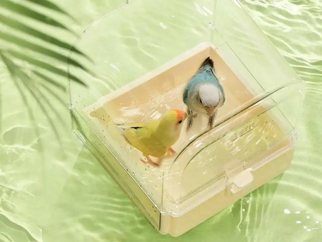 为仓鼠做窝、给鹦鹉做浴室，温州程序员挖掘小宠用品，年赚近亿元__为仓鼠做窝、给鹦鹉做浴室，温州程序员挖掘小宠用品，年赚近亿元