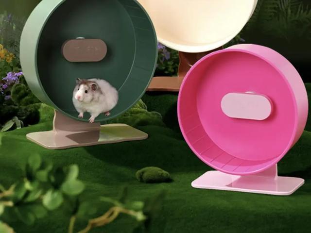 为仓鼠做窝、给鹦鹉做浴室，温州程序员挖掘小宠用品，年赚近亿元_为仓鼠做窝、给鹦鹉做浴室，温州程序员挖掘小宠用品，年赚近亿元_