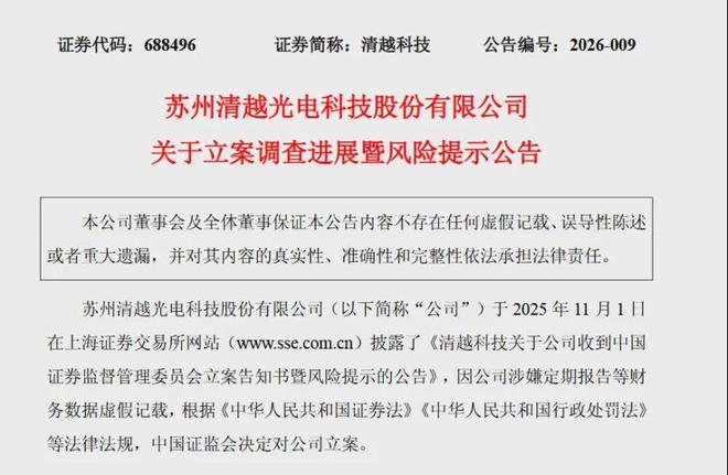 证监会出手，“电子纸模组龙头”命悬一线？