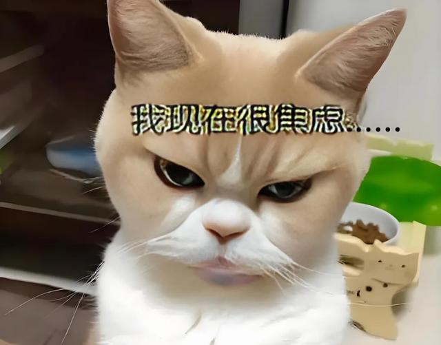 _风口经济什么意思_当前风口行业是什么