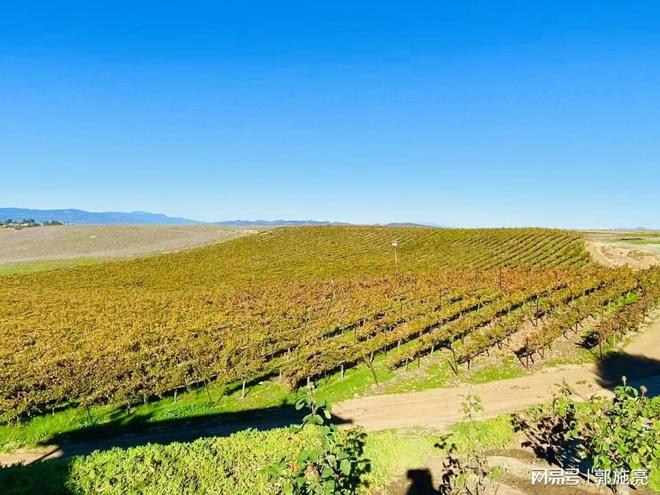 _光伏出口退税吗_光伏组件退税