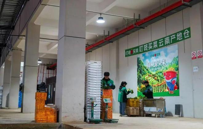 叮咚买菜投蔬菜产地仓