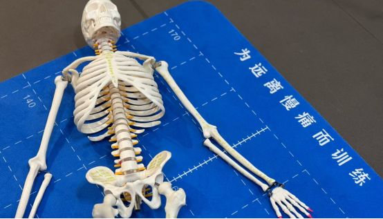 县城的普拉提，和它的女人们
