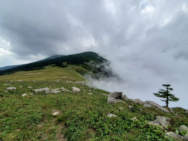 救援车价格表__救援车价格收费表