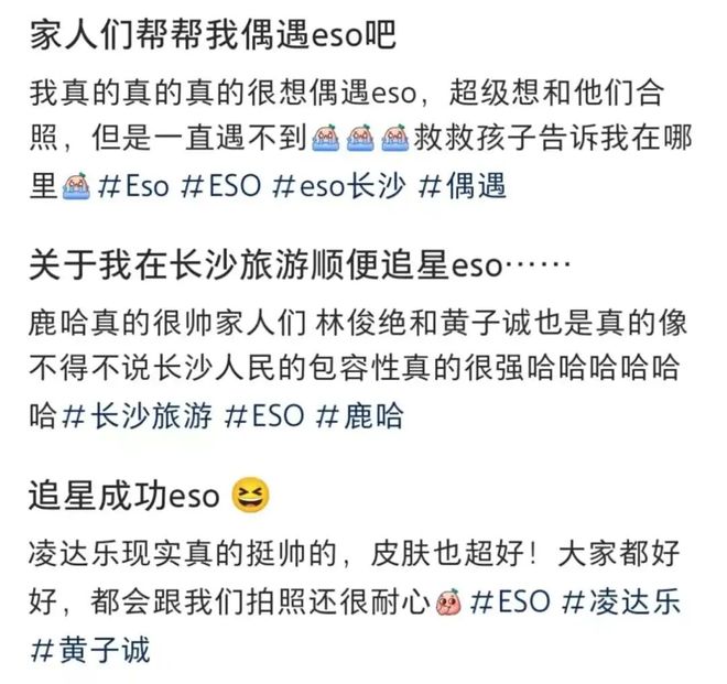 _山寨明星大合集_山寨明星是指什么人