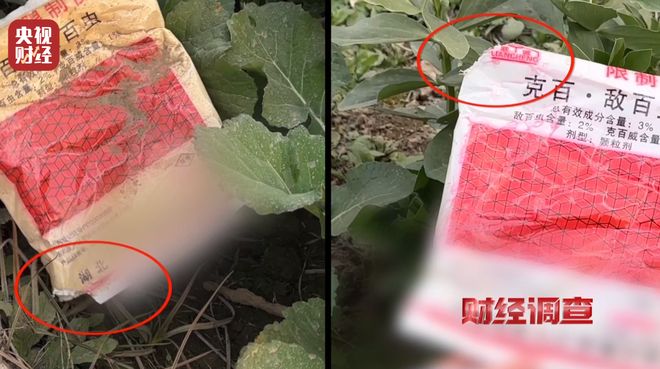 厂家铤而走险，商户违规牟利！含毒农药逃避市场监管？《财经调查》曝光→_厂家铤而走险，商户违规牟利！含毒农药逃避市场监管？《财经调查》曝光→_
