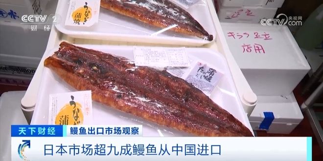 _寿司郎赢得毫不费力_寿司郎赢得毫不费力