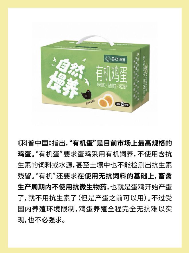 _素鸡蛋是什么原材料做的_素鸡蛋是什么意思