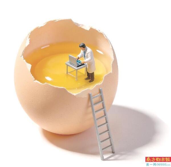 天然色素添加剂_鸡蛋色素检测_