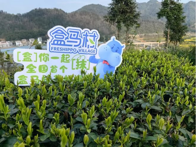 _物归原主2007_物归原主的典故