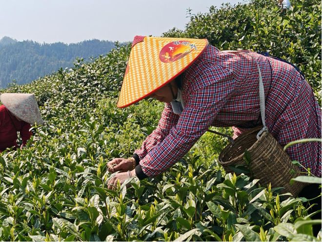 物归原主的典故_物归原主2007_