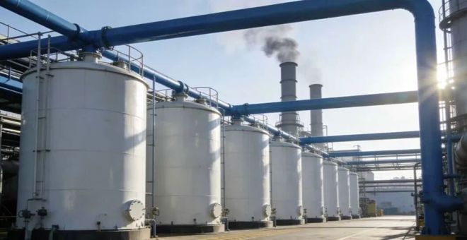 红宝丽，怎么每次都是你先连板？