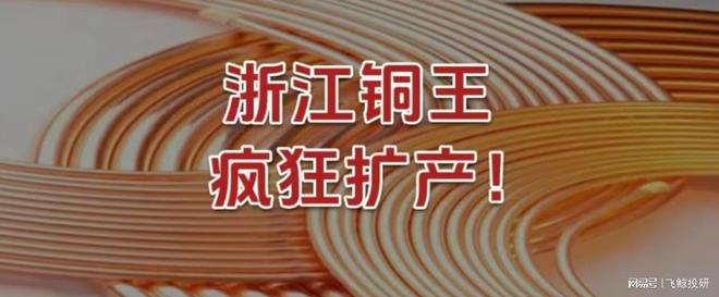 浙江铜王，疯狂扩产！_浙江铜王，疯狂扩产！_