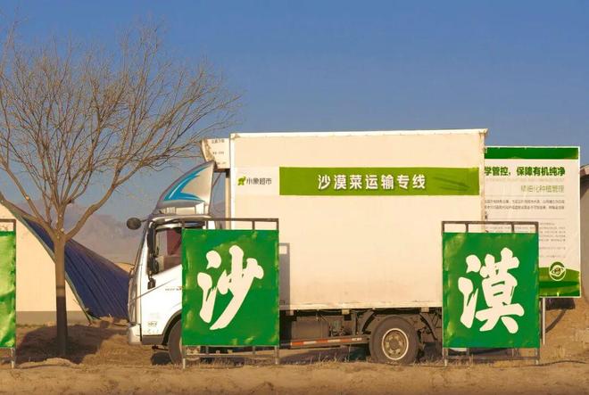 “北菜南运”沙漠菜，丰盛了谁的餐桌？_“北菜南运”沙漠菜，丰盛了谁的餐桌？_