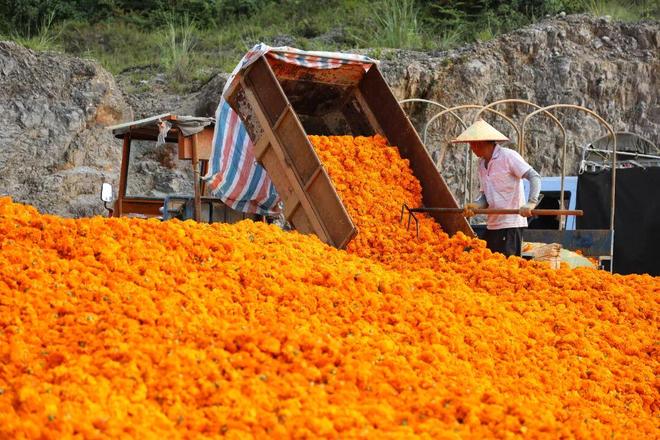 打造园区_激发园区活力_