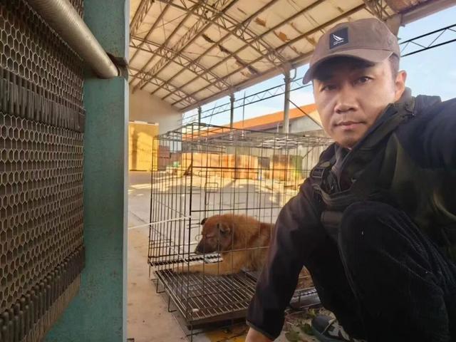 找猫给多少钱__找猫酬谢多少钱