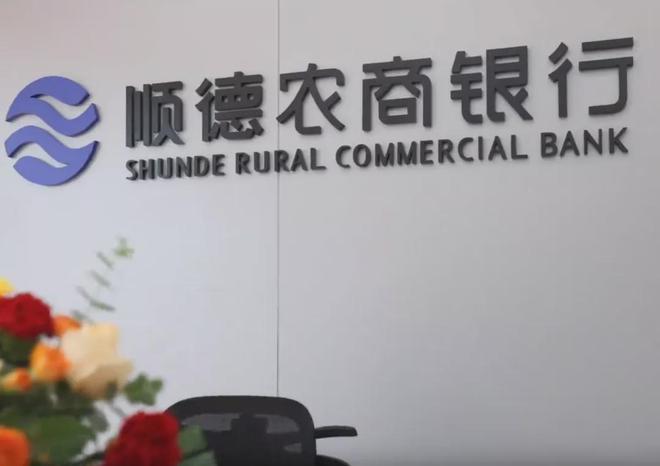 _顺德的老板_顺德集团总经理