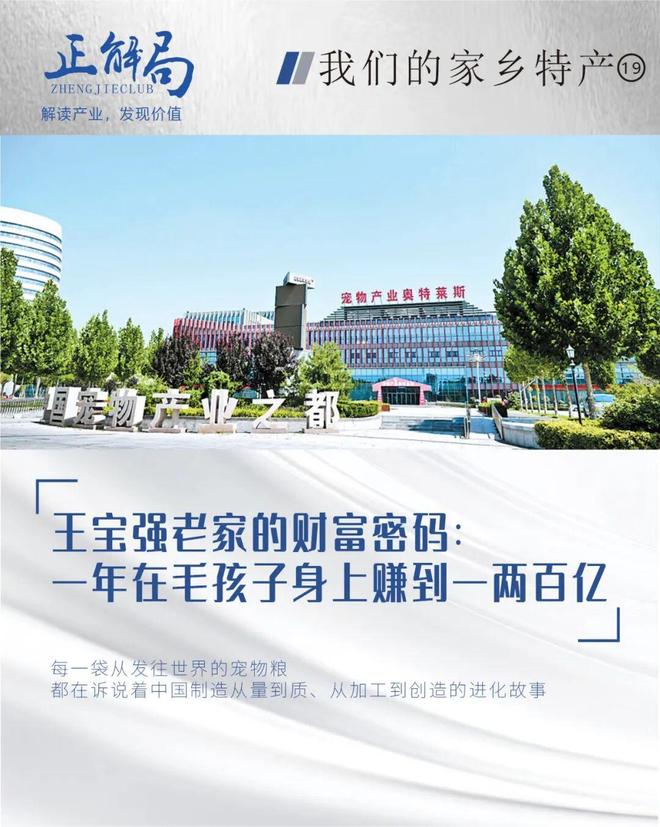 王宝强老家的“财富密码”：在毛孩子身上，一年赚两百亿