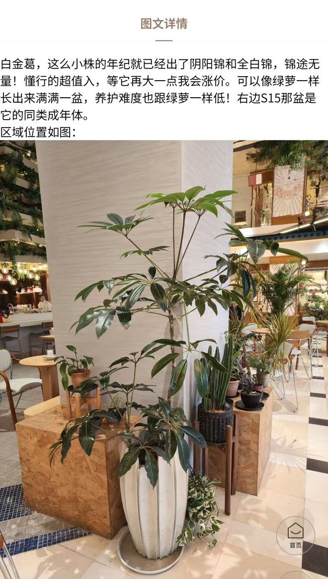 _因「增设4个女厕所」被网暴，这家“卫生巾免费自取、创办女子夜校”的商场还在为女性友好做更多？_因「增设4个女厕所」被网暴，这家“卫生巾免费自取、创办女子夜校”的商场还在为女性友好做更多？