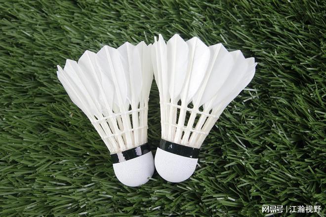 羽毛球售价__羽毛球拍价格下降