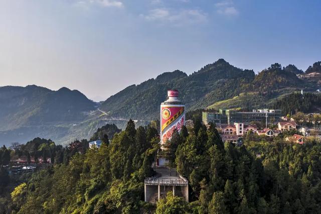 茅台“酒糟变黄金”，万亿巨头跨界宠物赛道的野心与焦虑