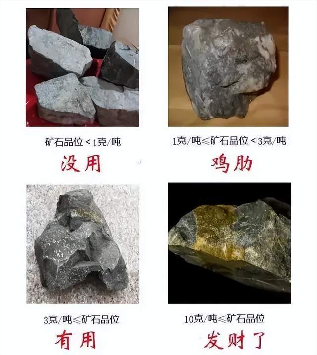 _紫金矿业陈发树新华都工程_神豪每秒赚百千万亿系统
